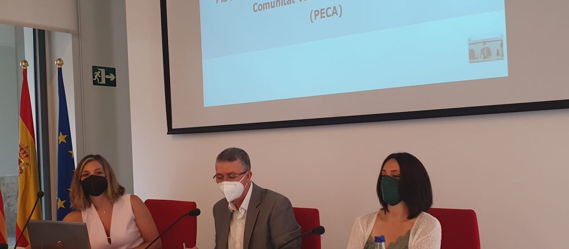 210715_Presentacion_PECA_0