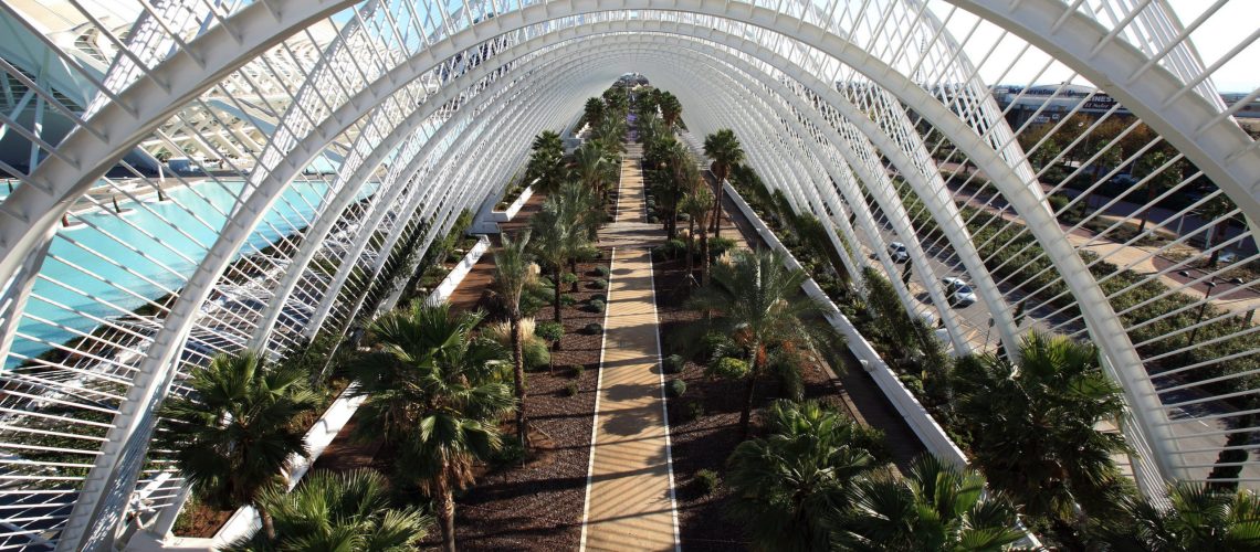 UMBRACLE20091215_0813