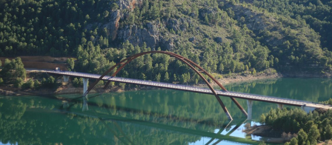 tartaruga33-Puente_de_la_Vicaría2