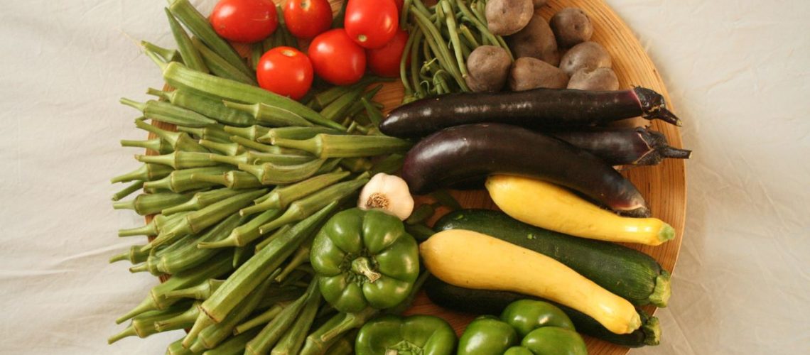 thebittenword.com Clagett_Farm_CSA_Week_11